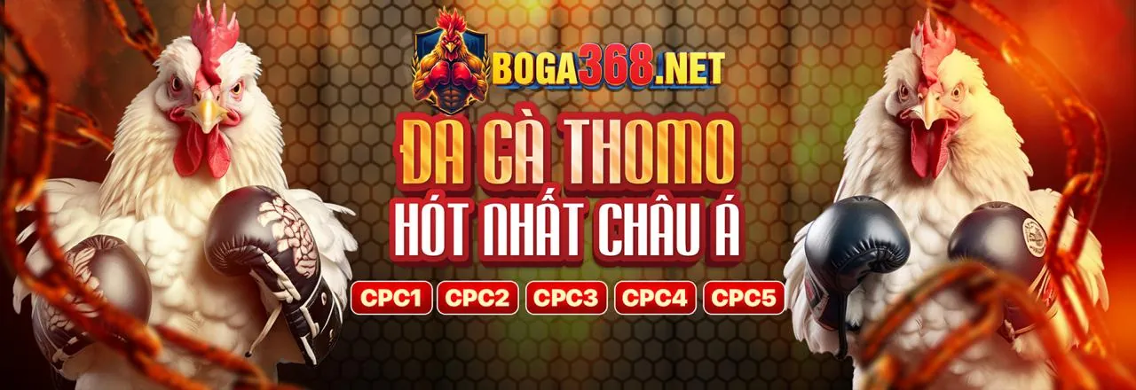 Tổng hợp các trò chơi cá cược phổ biến tại SC88 OK VIP